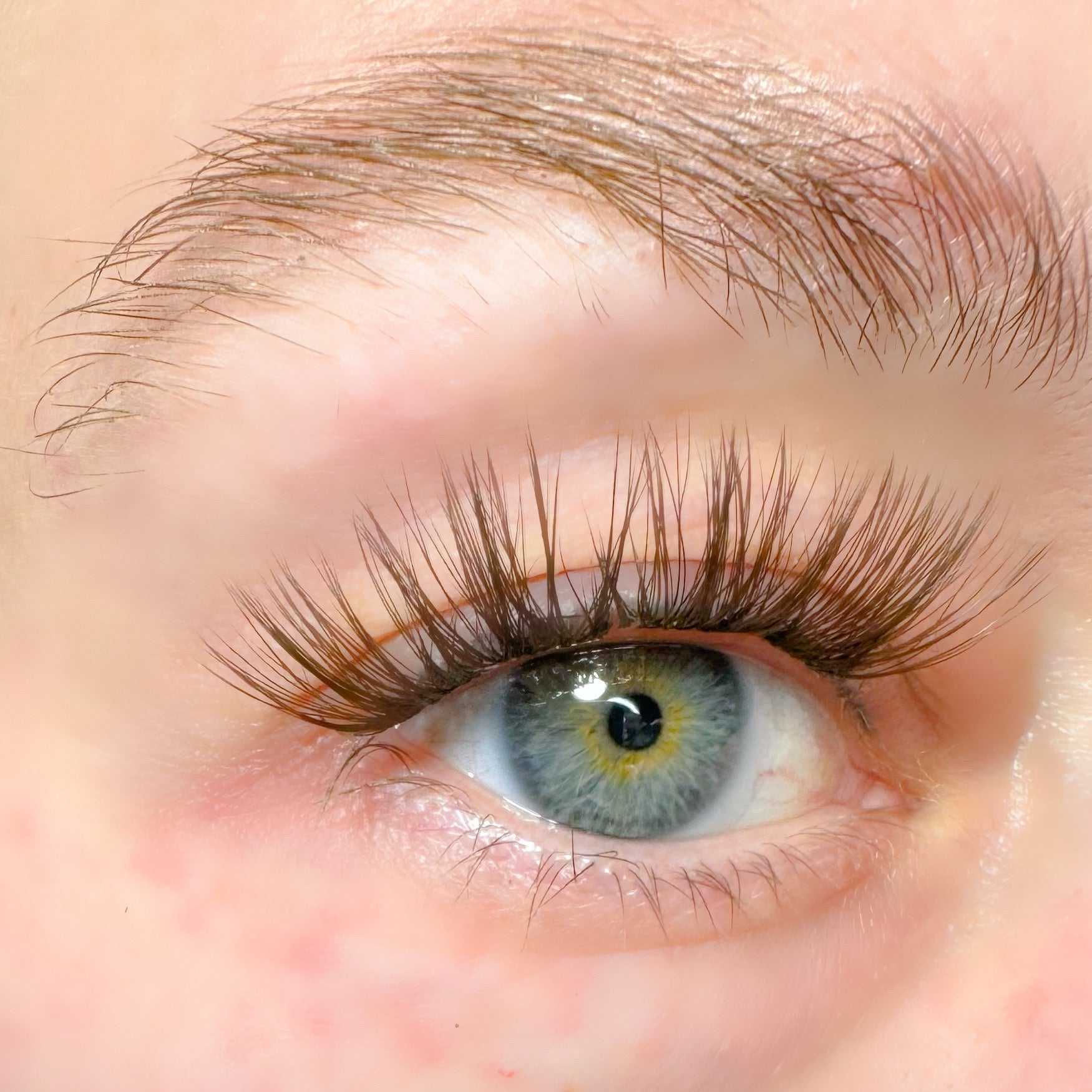 Espresso - WimpernExtensions