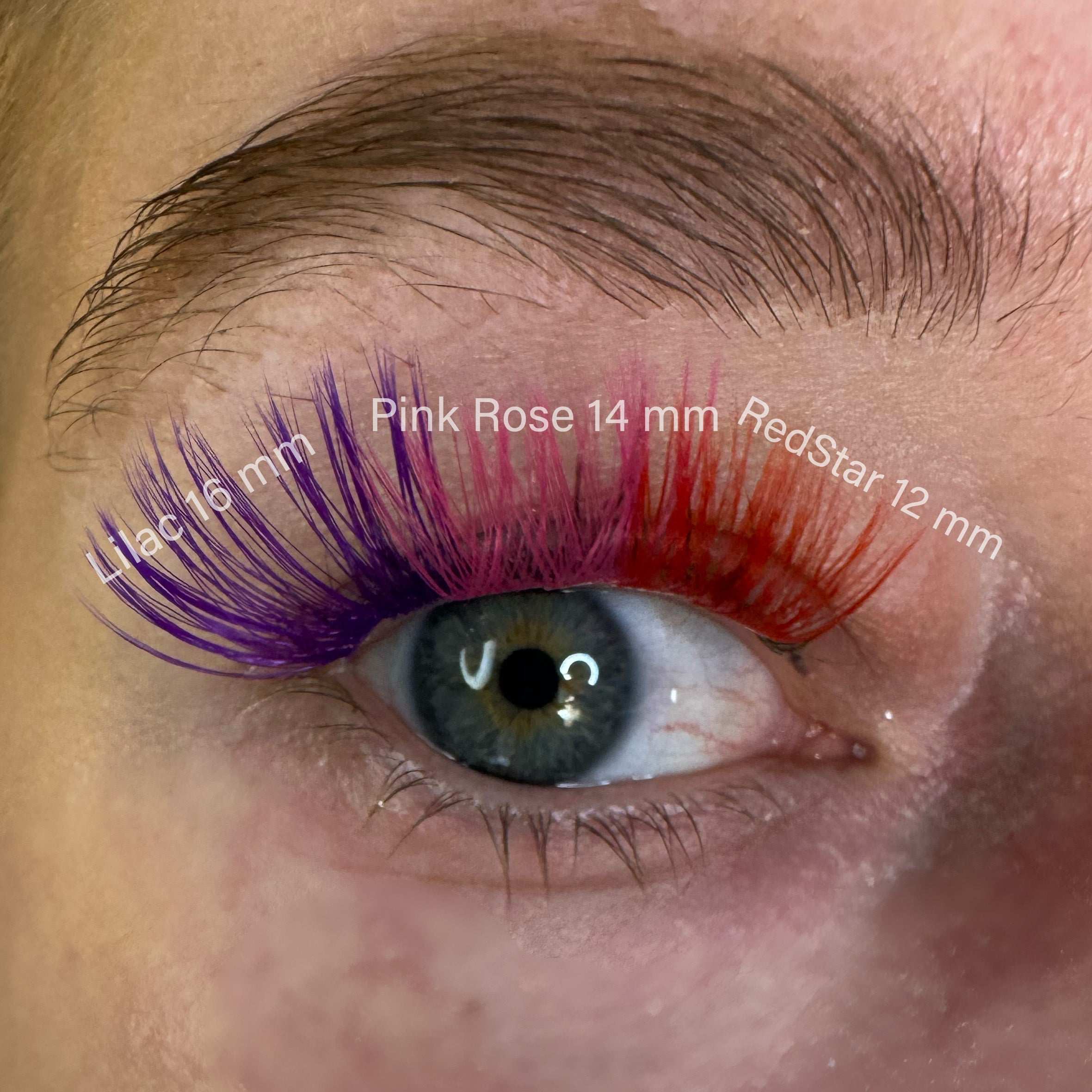 Lilac - WimpernExtensions