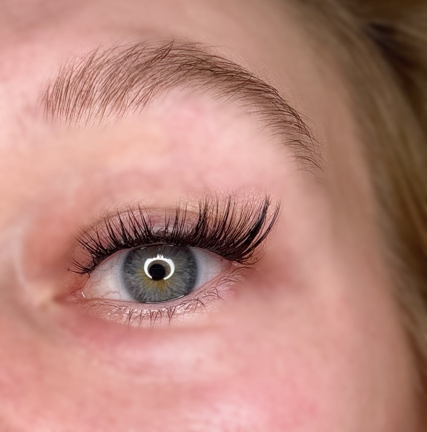 Kitty - Wimpernextensions